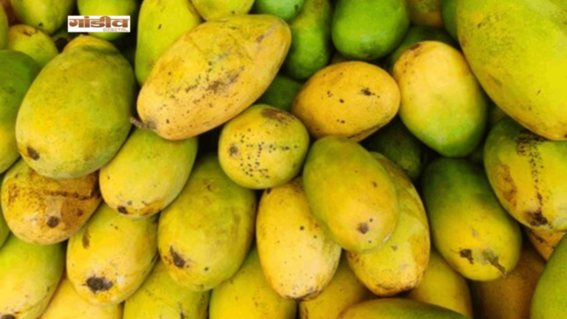 वाराणसी में फलों के राजा की आवक, लगन सीजन में बहुत है डिमांड