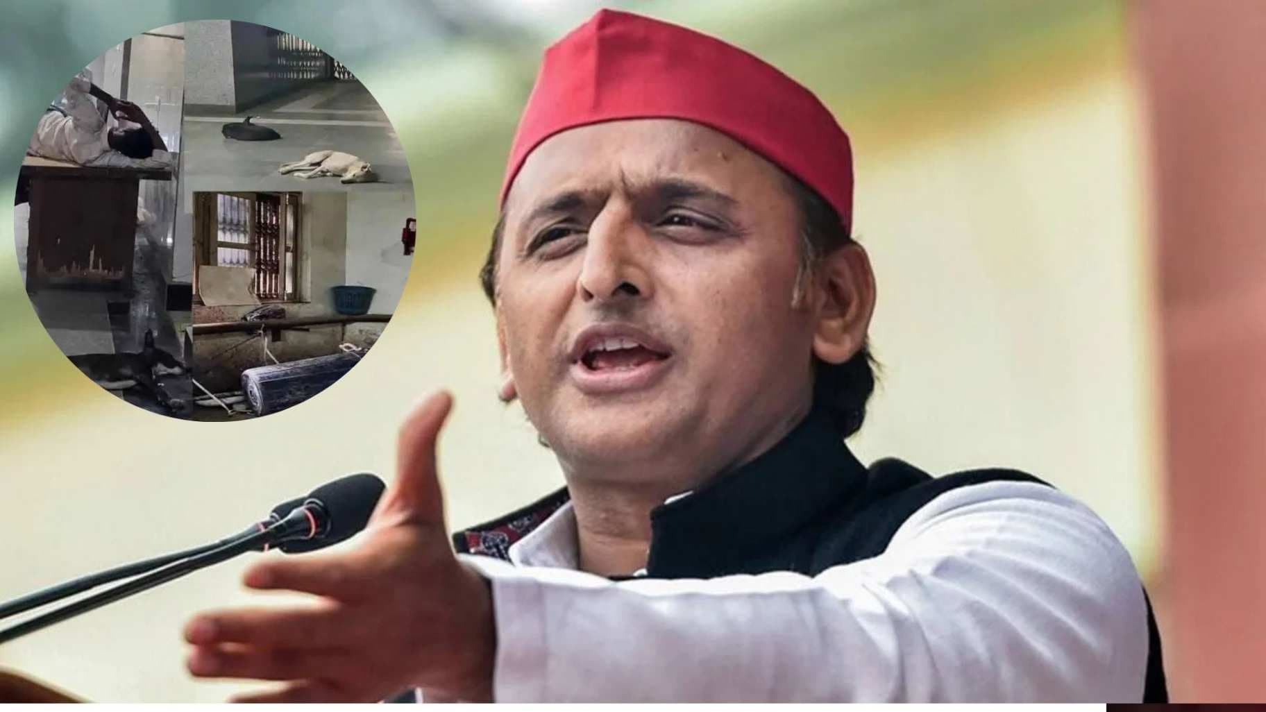 BHU अस्‍पताल में श्‍वान का 'राज': अखिलेश यादव का तंज: "क्योटो नहीं बना सके तो कुकुरमुक्त ही कर दीजिए"