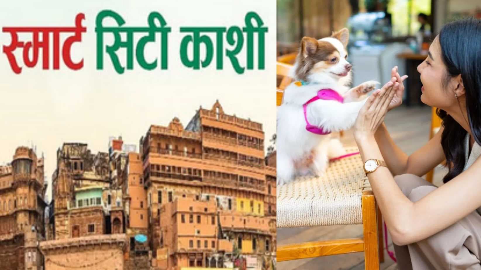स्मार्ट काशी ऐप से घर बैठे कराएं पालतू कुत्‍तों-बिल्‍ली का रजिस्ट्रेशन, वरना खैर नहीं