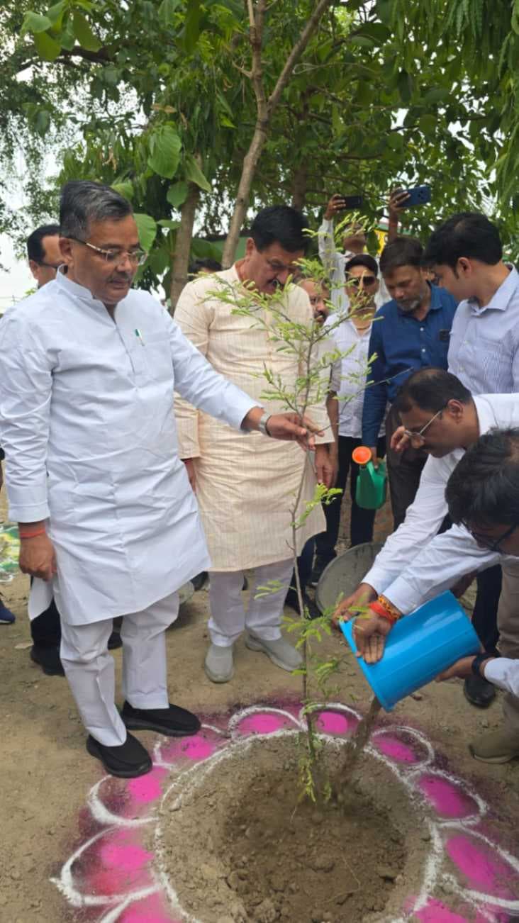 विश्व पर्यावरण दिवस: मां की ममता और पेड़ों की छांव दोनों जीवनदायिनी- जयवीर सिंह...
