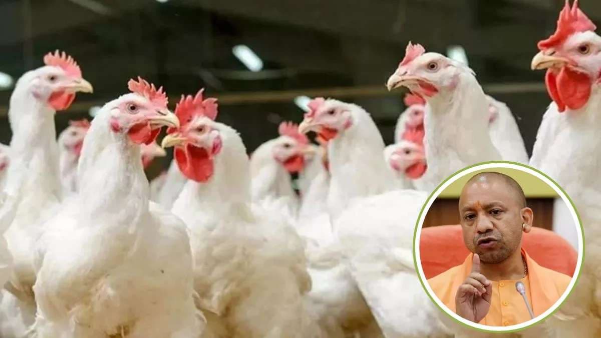 बर्ड फ्लू को लेकर प्रशासन अलर्ट, कंट्रोल रूम बना
