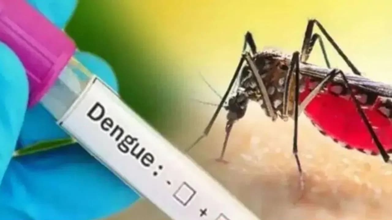 वायरल बुखार के लक्षण डेंगू जैसे,  मरीजों की बढ़ रही संख्या