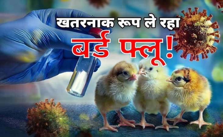 बर्ड फ्लू ने मचाई दहशत,  अलर्ट हुआ यूपी संग उत्तराखड़ 