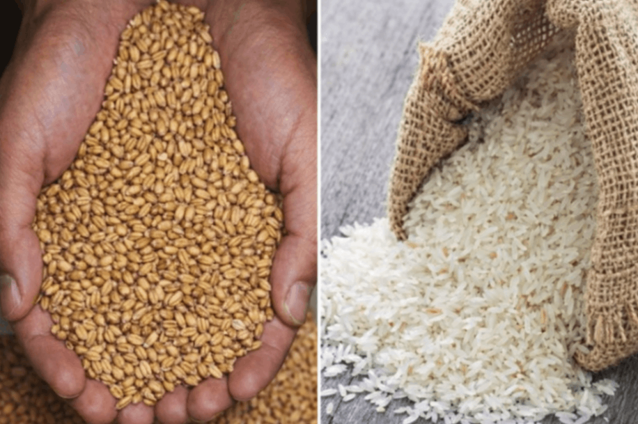खाद्यान्‍न वितरण प्रणाली में बदलाव, फरवरी में गेंहू कम चावल मिलेगा अधिक