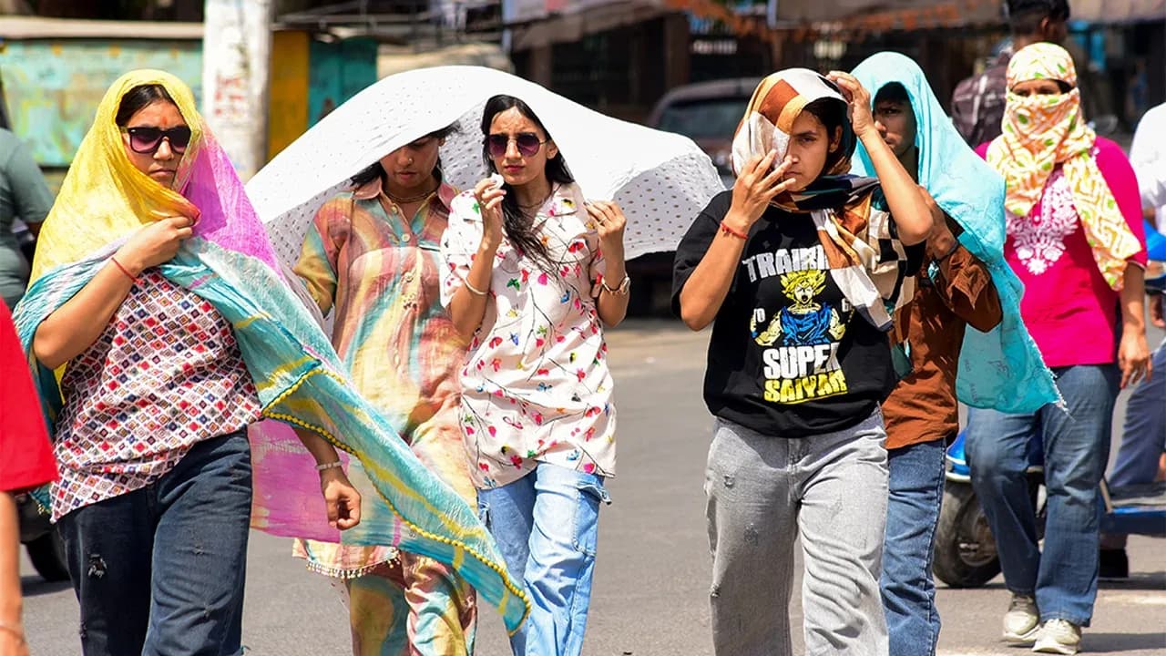 धूप और उसम से नहीं मिलेगी राहत, बेहाल करने लगी तीखी धूप 