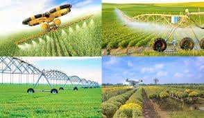 वाराणसी में आकार लेने लगा हरित क्षेत्र, महापौर और नगर आयुक्‍त ने किया निरीक्षण  