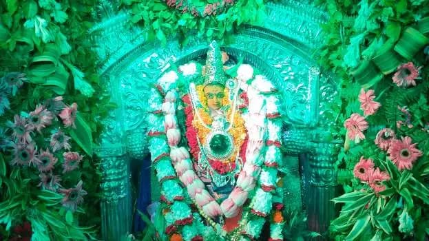 हरियाली श्रृंगार संग मनाया गया आदि शक्ति मां विशालाक्षी का जन्मोत्सव
