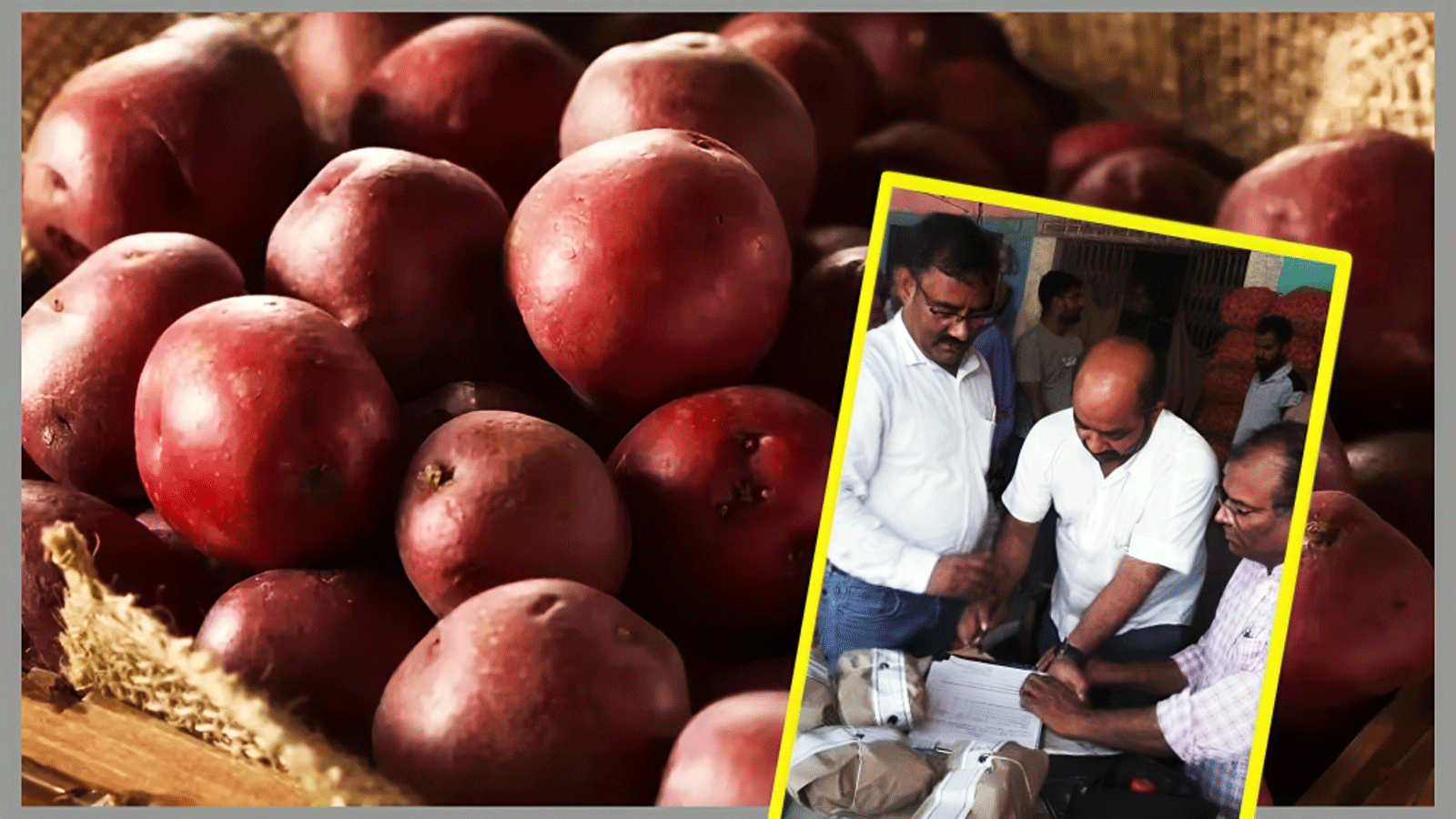 लखनऊ की मंडीः सफेद आलू को लाल रंग में रंगकर बेचने के मामले का पर्दाफाश 