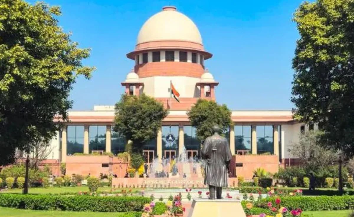 'फलों की तस्वीर लगाकर टेट्रा पैक में बेची जा रही शराब', SC ने केंद्र से मांगा जवाब
