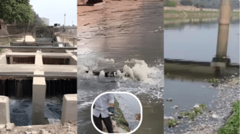 वरुणा नदी में हजारों मछलियां मरी, सीवर का पानी बहाये जाने से पानी हुआ काला