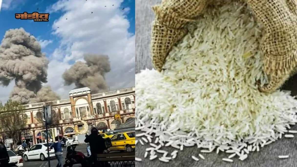 खाड़ी युद्ध में फंसा बासमती चावल का निर्यात, वरिष्‍ठ कृषि विज्ञानी ने कही बड़ी बात