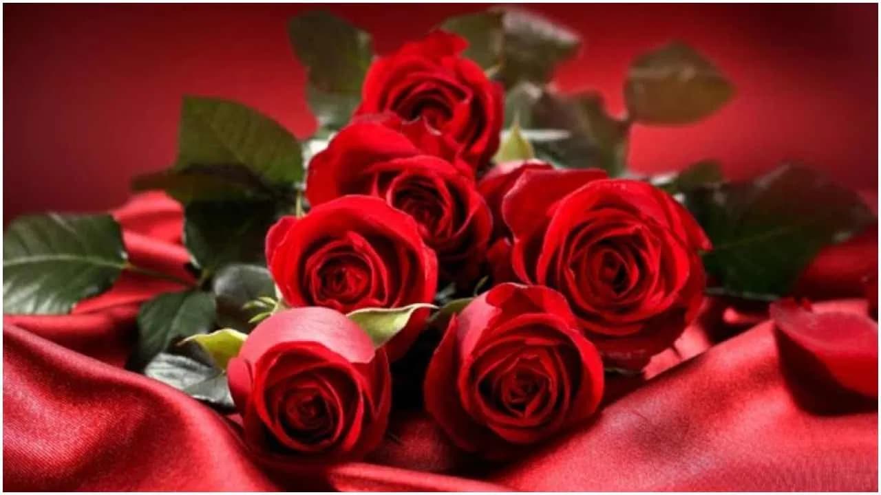 शुरू हुआ आशिकों के दिन, आखिर 7 फरवरी को ही क्यों मनाते है रोज डे?