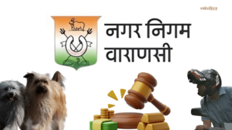 स्वच्छता के लिए नई नियमावली लागू, अब थूकने पर 250 और पालतू कुत्ते के मल त्याग पर 500 लगेगा जुर्माना