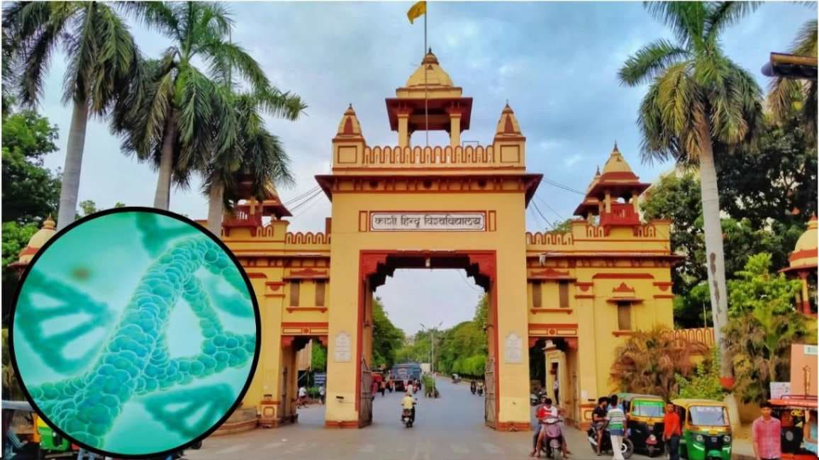 BHU का DNA टेस्ट, 57000 साल पहले अफ्रीका से निकले मानव पहुंचे थे श्रीलंका 
