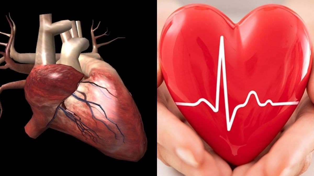 क्या 1 मिनट में 200 बार धड़कता है दिल, जाने डॉक्टर ने क्या कहा...