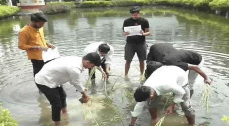 काशी विद्यापीठ में दीक्षांत समारोह के पहले अनोखा विरोध, पार्क में रोपा धान