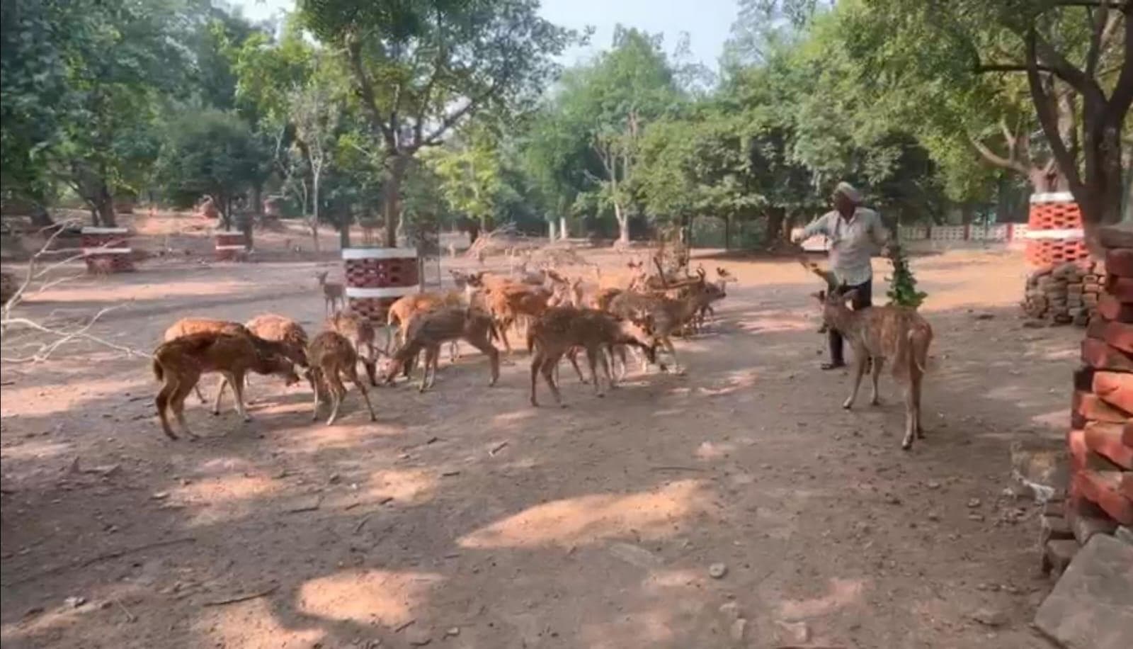 वाराणसी के मिनी जू में वन्‍य जीवों की विंटर डाइट शुरू, आवश्यक पोषक तत्व बढ़े 