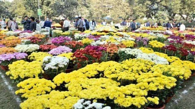 महामना जयंती पर बीएचयू में फूलों की बगिया सजने को तैयार, तीन दिवसीय आयोजन 