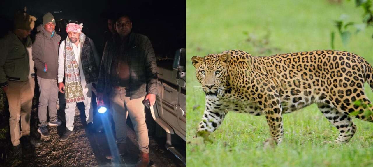 रमना में तेंदुआ दिखा, लोगों में दहशत