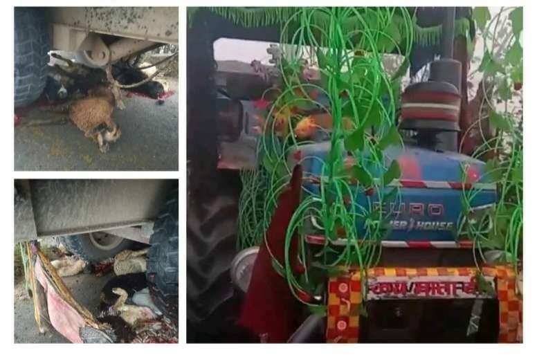 वाराणसी में ट्रैक्‍टर ने रौंदा, 22 भेड़ों की मौत, कई जख्‍मी