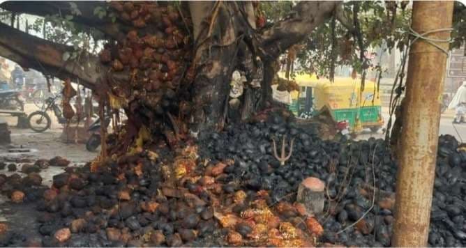 वाराणसी के आशापूर्ण काली मंदिर में लगी भयंकर आग, विशाल पेड़ जला