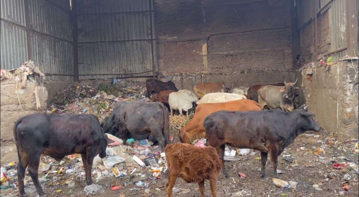 वाराणसी में सफाई व्यवस्था की खुली पोल, औरंगाबाद क्षेत्र में लगा कूड़े का अंबार