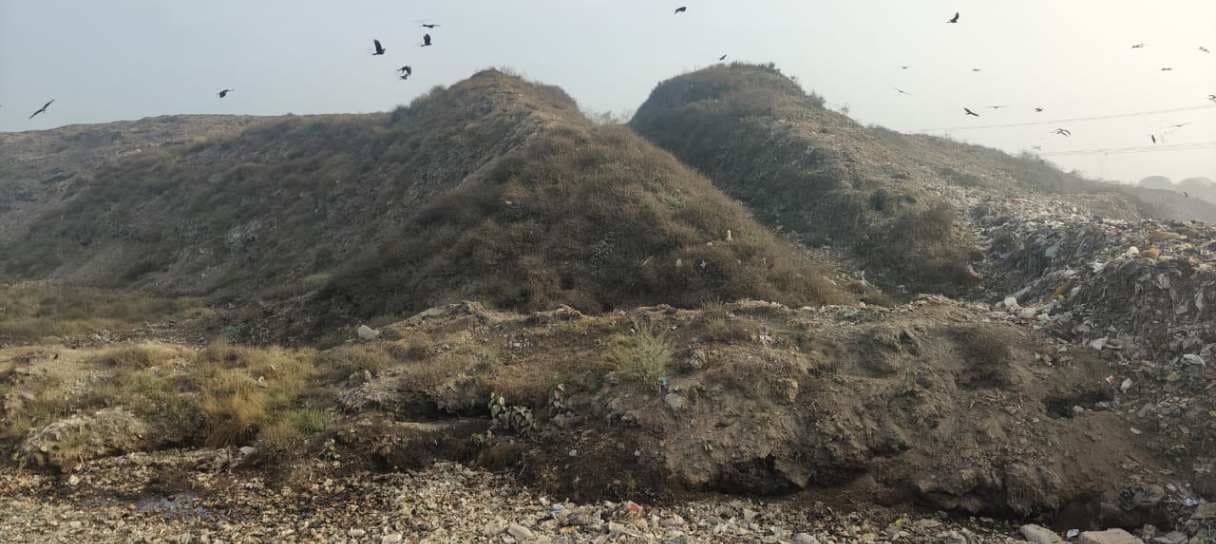 करसड़ा में अब खत्म होगा कूड़े का पहाड़, 25 एकड़ जमीन पर लहलहाएगा मियावाकी जंगल