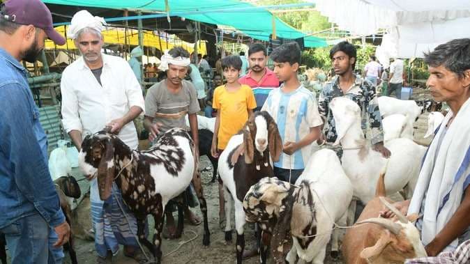 कुर्बानी के लिए सज गई बकरों की मंडी, कीमत जानकर हो जाएंगे हैरान 