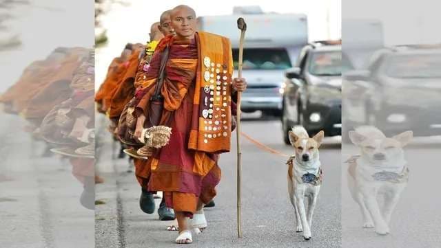 बौद्ध भिक्षु संग सारनाथ पहुंचे देसी नस्‍ल के श्‍वान ने लूटी वाहवाही, देश-विदेश में की पदयात्रा...