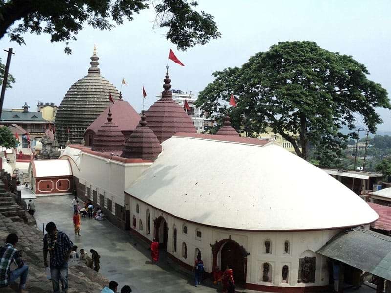 महेश नगर कॉलोनी में दिखेगा मां कामाख्या मंदिर का प्रतिरूप, 60 कारीगर दो महीने से बना रहे भव्य पंडाल...