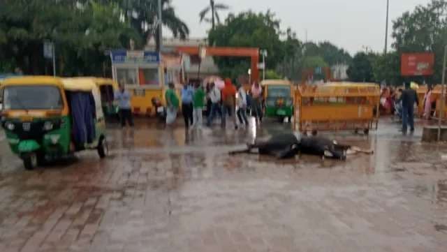 वाराणसी सह‍ित पूर्वांचल में अर्नब चक्रवात ने मचा रखी है तबाही, आम जनजीवन प्रभाव‍ित...