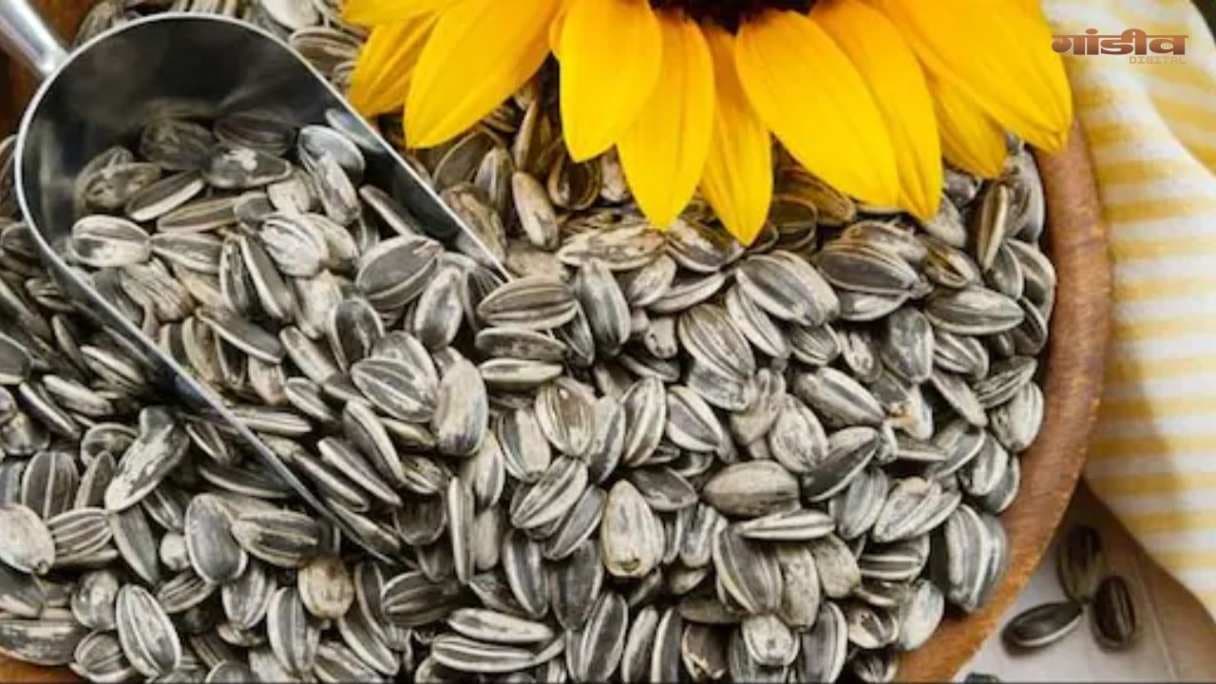 सर्दियों में रूखी त्वचा से हैं परेशान? रोज खाएं यह बीज, निखरेगी त्वचा...
