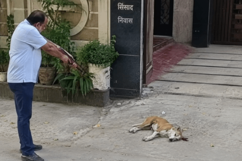 वाराणसी में कुत्ते पर एयरगन चलाने के मामले में कार्रवाई, आरोपी पर केस दर्ज
