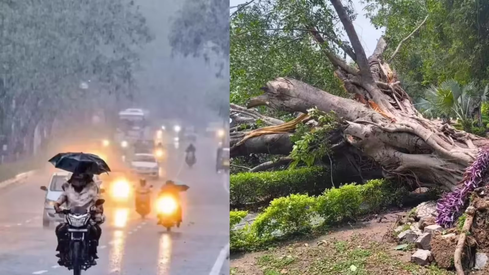 दिल्ली-NCR में आंधी-तूफान के साथ बारिश, मौसम विभाग ने जारी किया अलर्ट