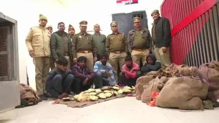 वाराणसी में 363 कछुए बरामद; कैंट स्टेशन से पांच तस्कर गिरफ्तार