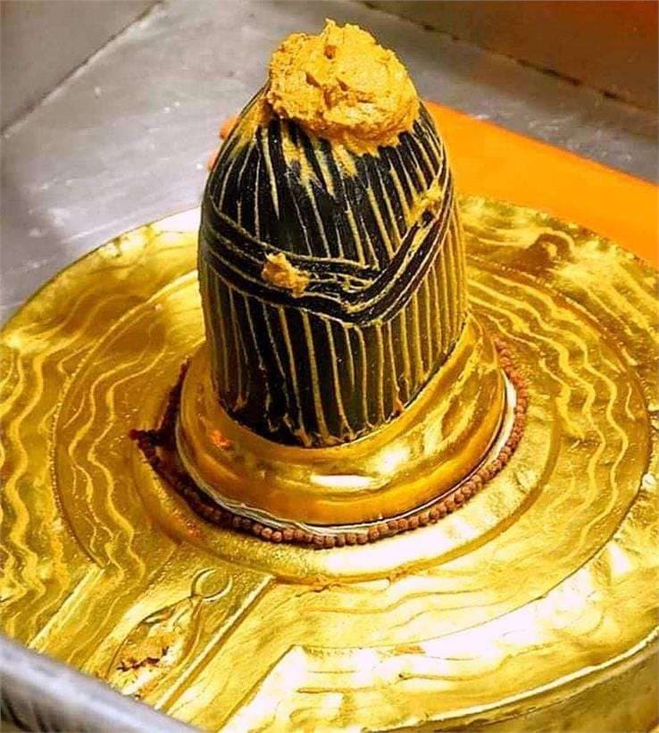 मेटा स्मार्ट ग्लास पहनकर गर्भगृह तक पहुंचा युवक, काशी विश्वनाथ मंदिर की सुरक्षा पर उठे सवाल...