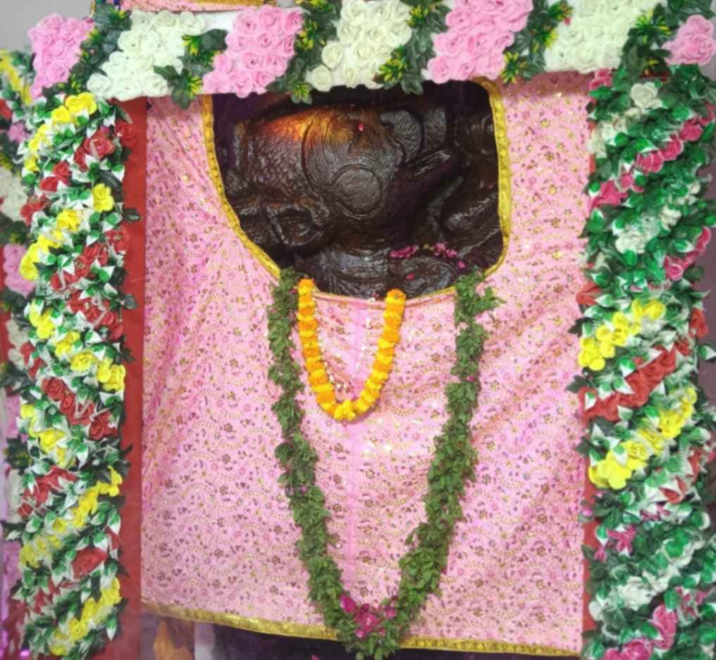 वराह भगवान का हुआ दिव्य शृंगार, भक्तो ने चढ़ाया छप्पन भोग