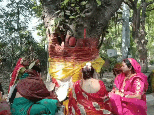 व
