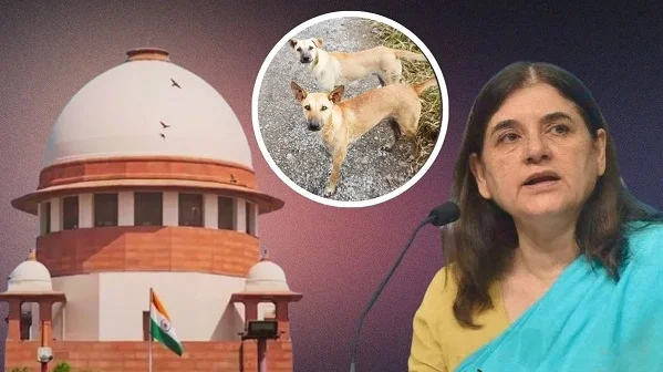 ुपरक
