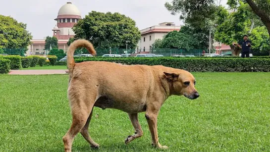 ु