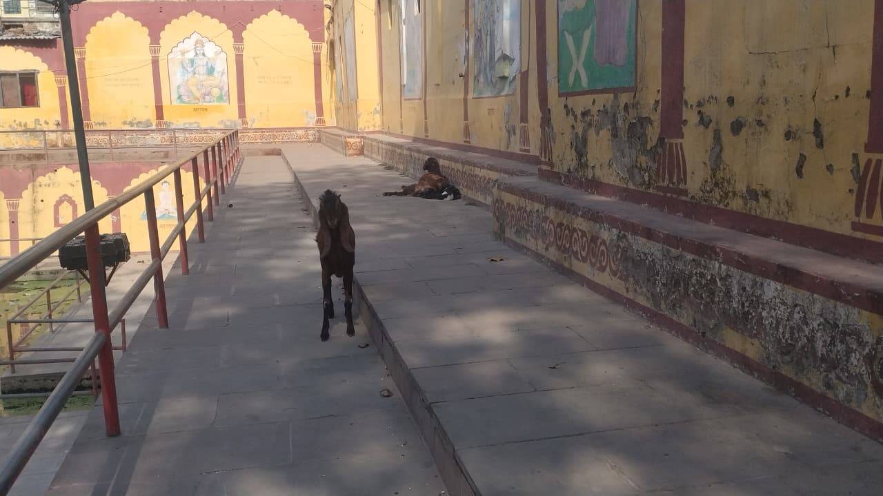 र