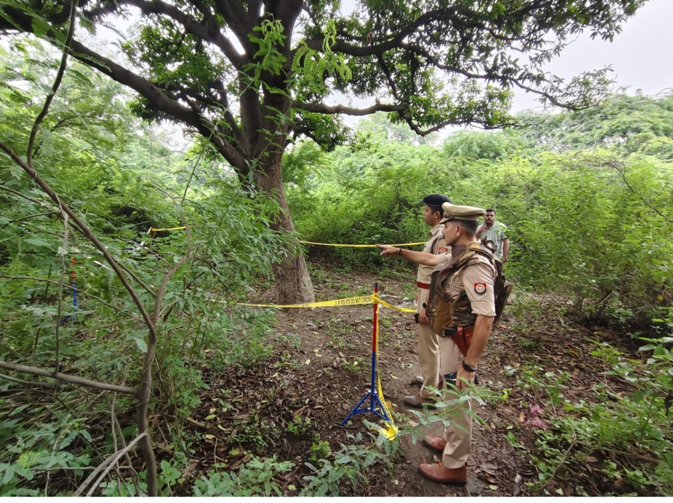RG