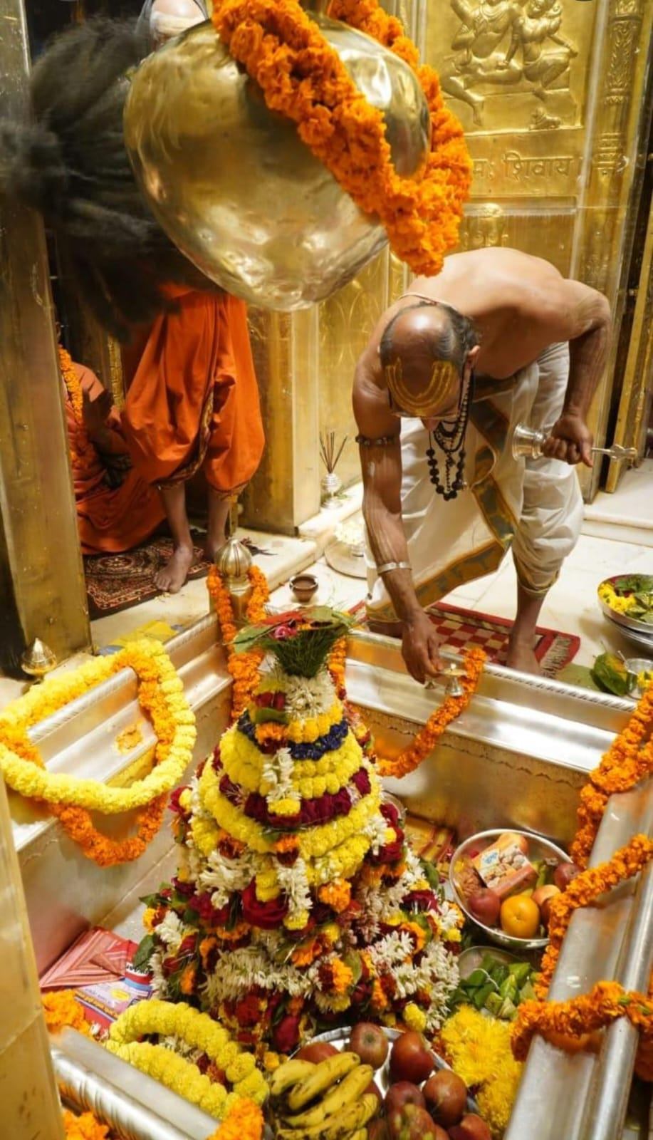 kashi